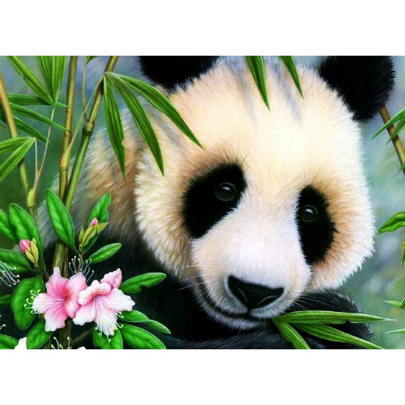 Cute Animal Panda 5D Diy ...