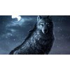 Dark Wolf 5D DIY Diamond Painting