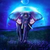 Dream Fly Elephant 5d Diy Diamond Painting Kits UK