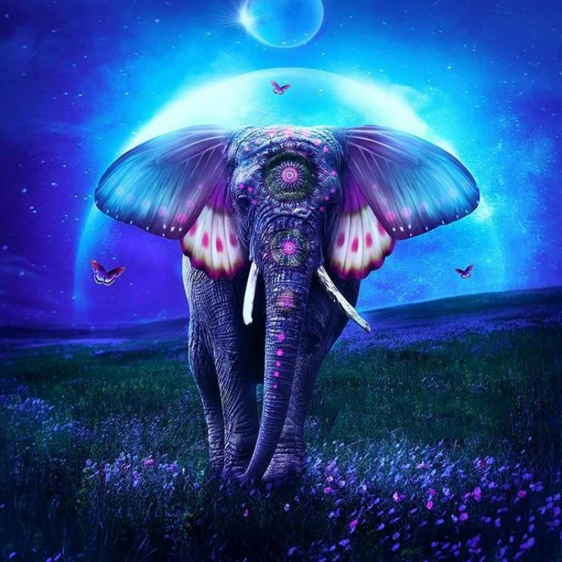 Dream Fly Elephant 5d Diy...