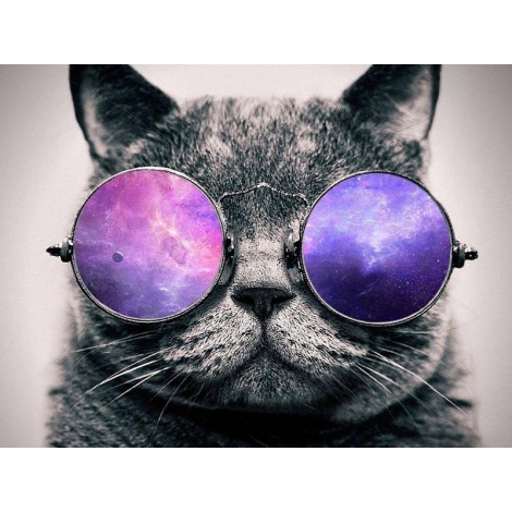 Cat With Glasses 5D DIY Diamond Painting