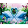 Dream Swans Love 5d Diy Diamond Painting Kits UK