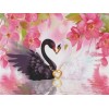 Dream Swans Love  5d Diy Diamond Painting Kits UK