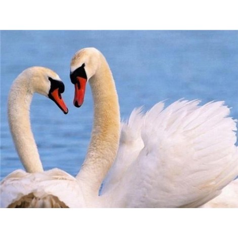 Hot Sale Elegant Swan Lover In Lake 5d Diy Painting