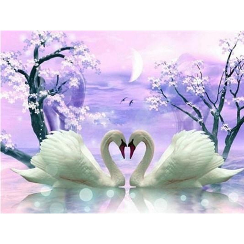 Dream Elegant Swan Lover ...