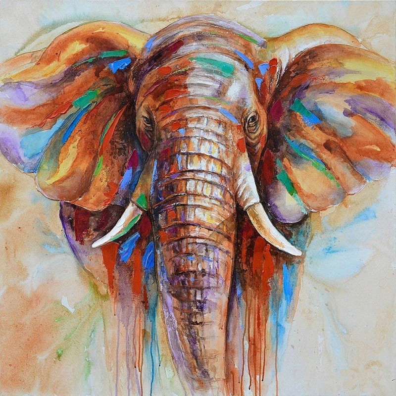 Colorful Elephant 5D Diy ...