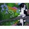Cat Flower 5D Diy Diamond Painting Kits Uk