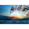 Landscape Wolves 5D Diy Diamond Painting Kits UK