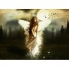 Angel 5D DIY Diamond Painting Kits UK