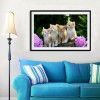 Lovely Cats 5D Diy Diamond Painting Kits UK