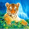 Hot Sale Tiger 5d Diy Diamond Painting Kits UK