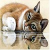 The cat and reflection 5D Diy Diamond Painting
