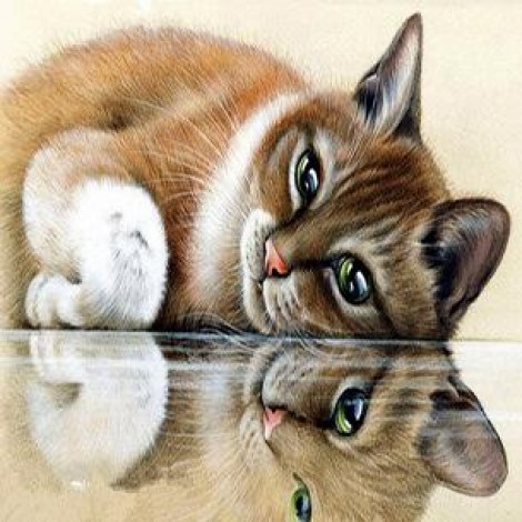 The cat and reflection 5D Diy Diamond Painting