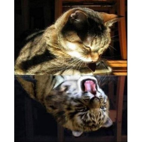 The Cat and the angry Tiger 5d Diy Diamond Painting  UK
