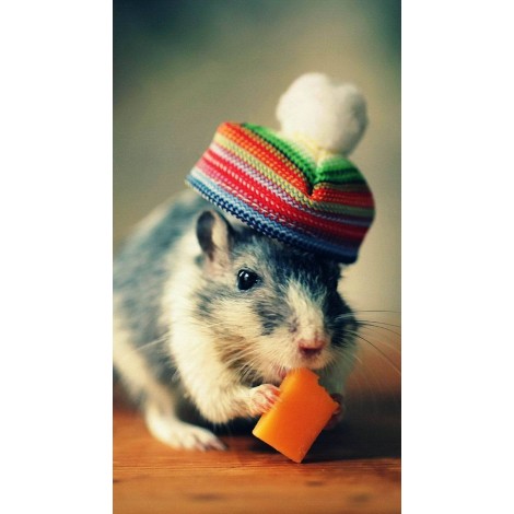 Cute Rat 5D Diy Diamond Painting Kits UK