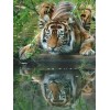 Hot Sale Mighty Natural 5d Diy Diamond Painting Tiger UK