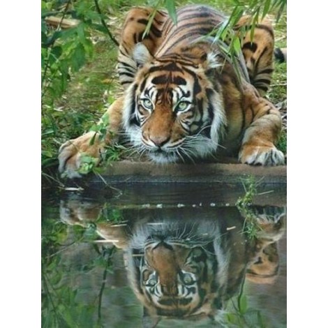 Hot Sale Mighty Natural 5d Diy Diamond Painting Tiger UK